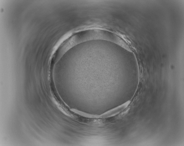 X0000059090056200510172105