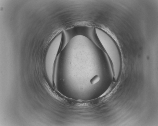 X0000059090057200510172105