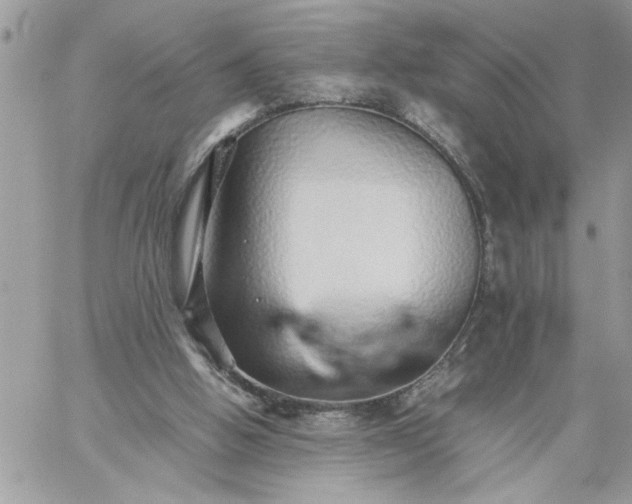 X0000059090058200510172105