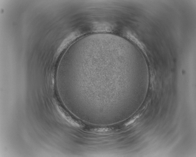 X0000059090059200510172105