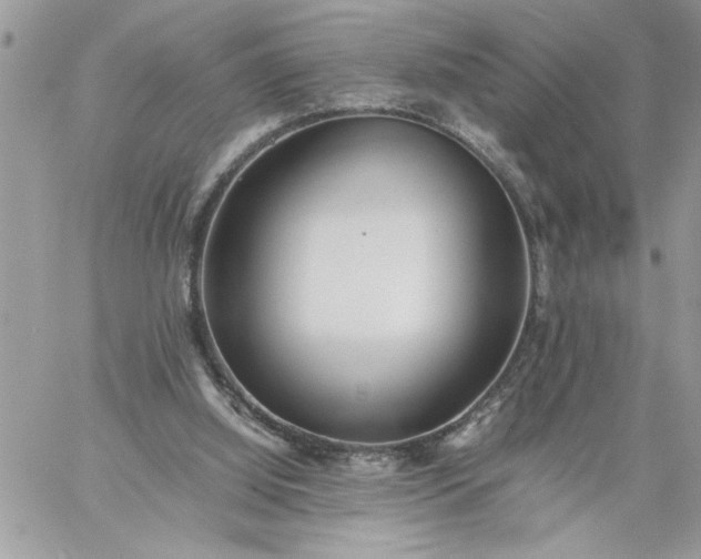 X0000059090060200510172105