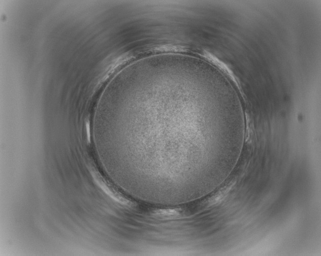 X0000059090061200510172105