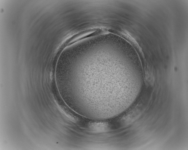 X0000059090063200510172105