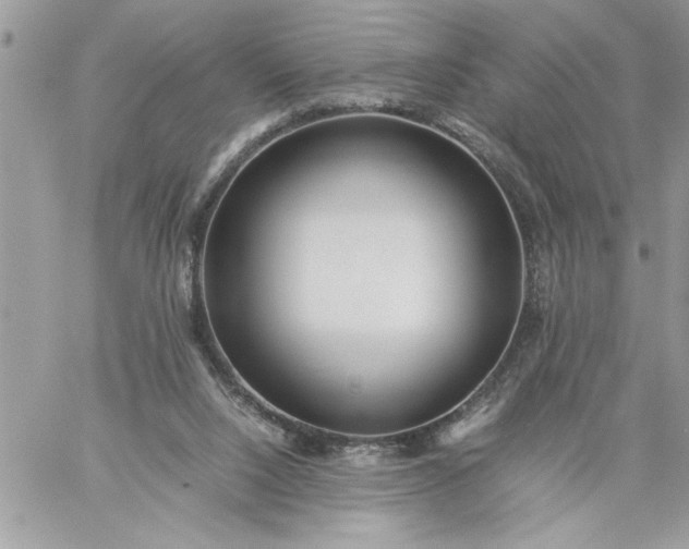 X0000059090064200510172105