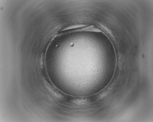 X0000059090065200510172105