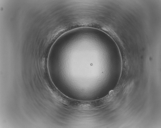 X0000059090066200510172105