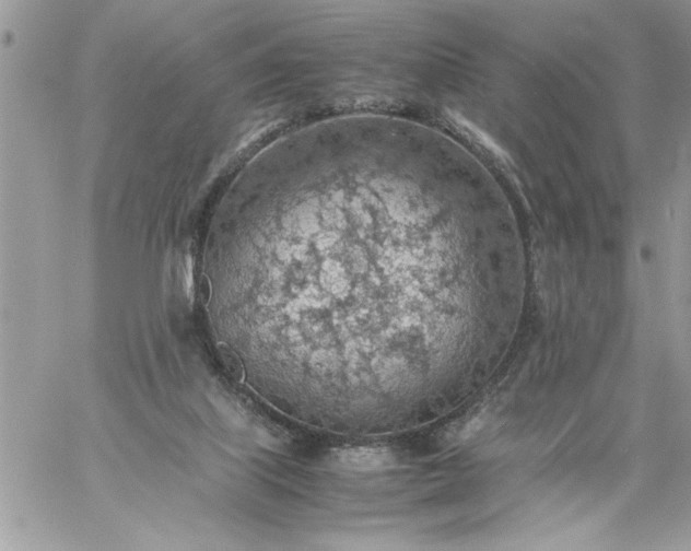 X0000059090067200510172105