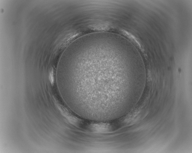 X0000059090069200510172105