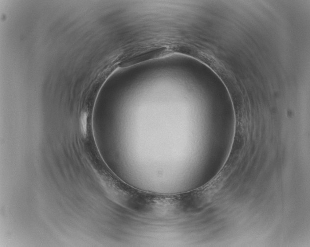 X0000059090070200510172105