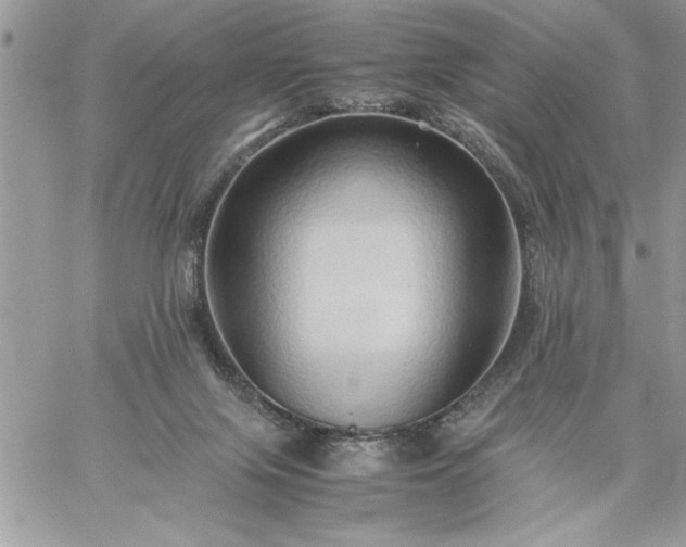 X0000059090071200510172105