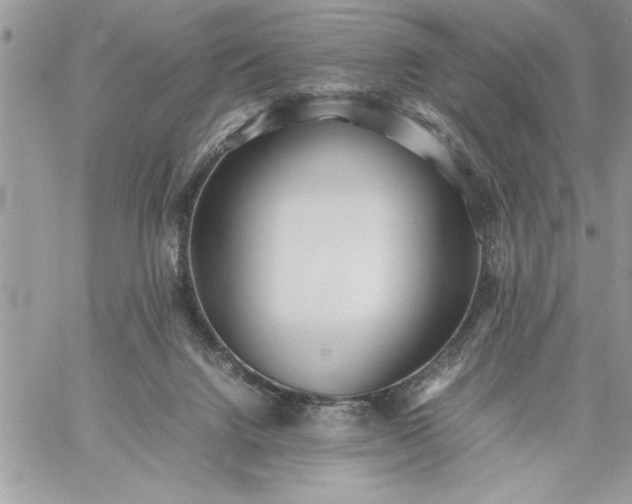 X0000059090072200510172105