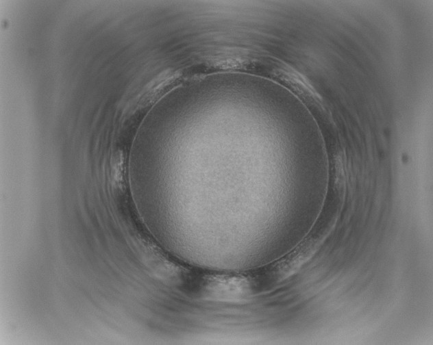 X0000059090073200510172105