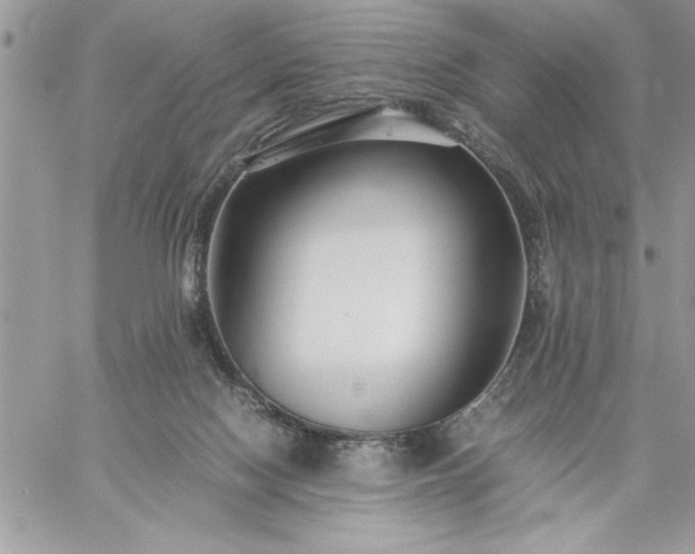 X0000059090074200510172105