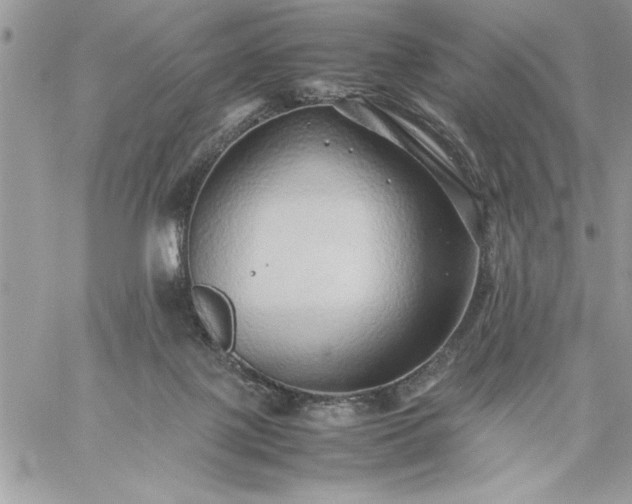 X0000059090075200510172105