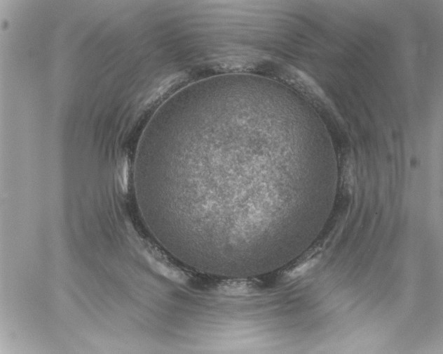 X0000059090076200510172105