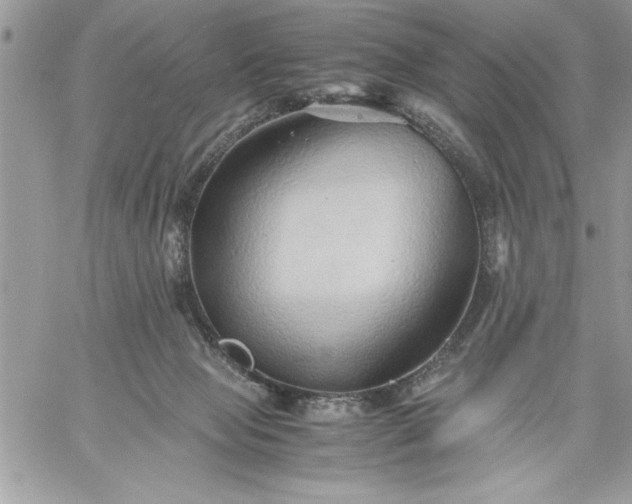 X0000059090077200510172105