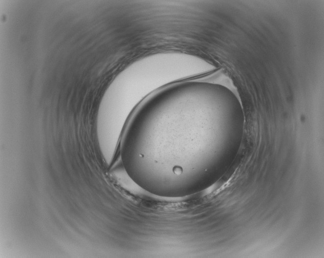 X0000059090078200510172105