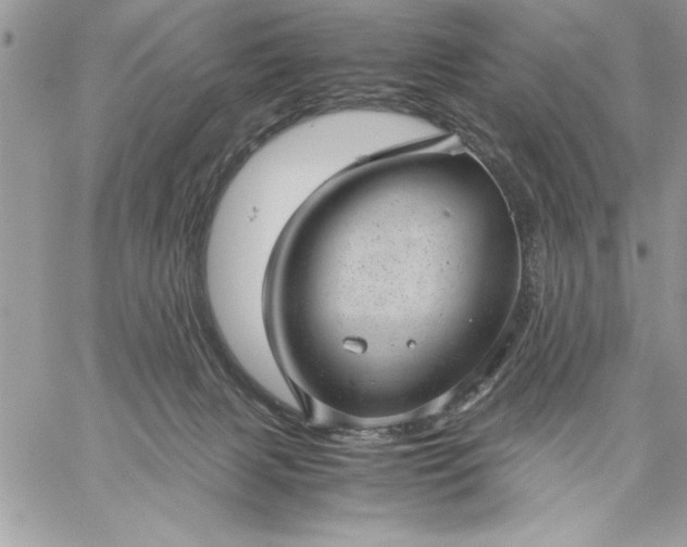 X0000059090079200510172105