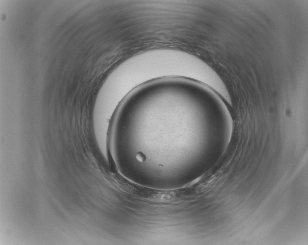 X0000059090080200510172105