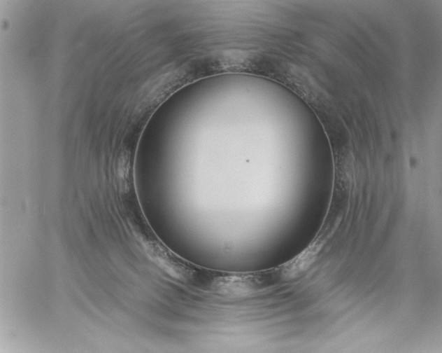 X0000059090082200510172105