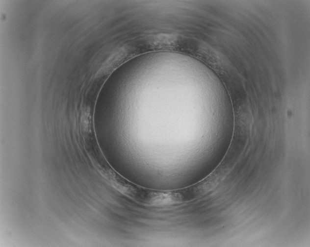 X0000059090083200510172105