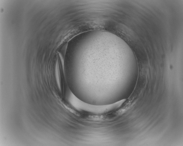 X0000059090084200510172105