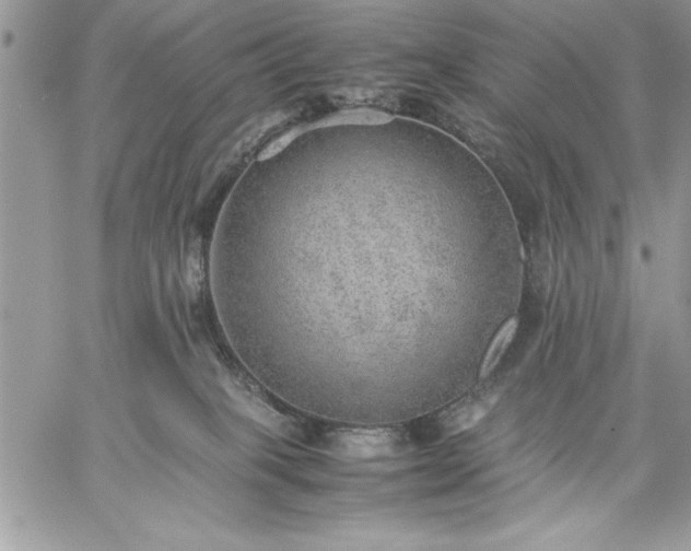 X0000059090085200510172105