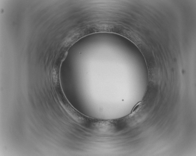 X0000059090086200510172105