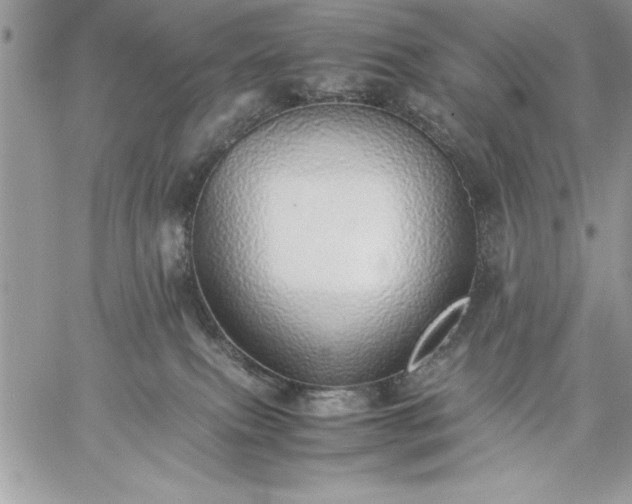 X0000059090087200510172105