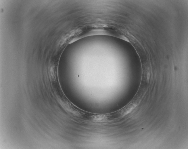 X0000059090088200510172105