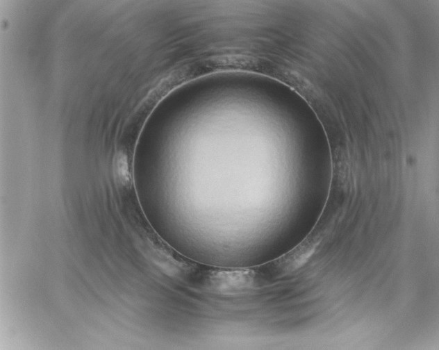 X0000059090089200510172105