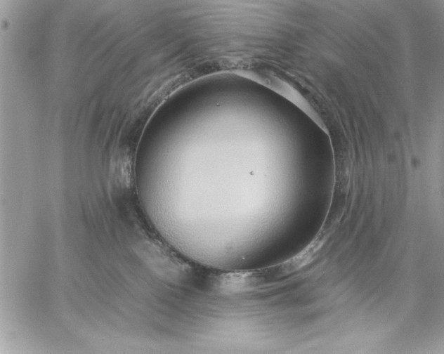 X0000059090090200510172105