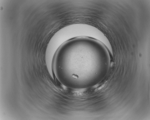 X0000059090091200510172105