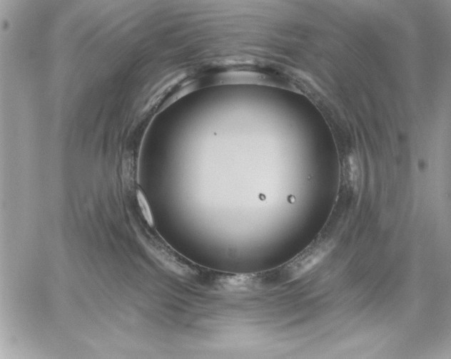 X0000059090092200510172105