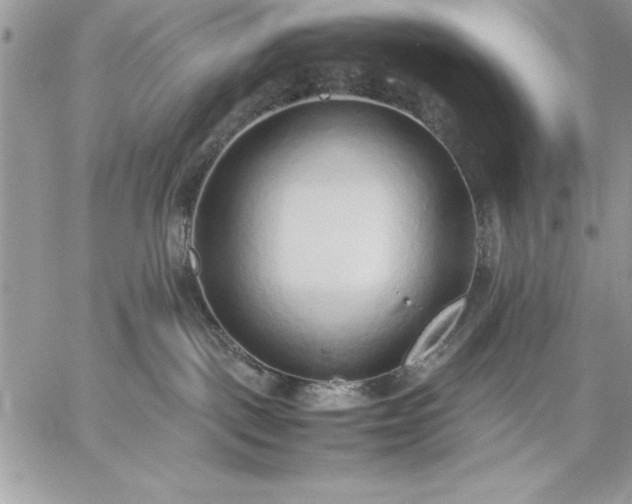 X0000059090093200510172105