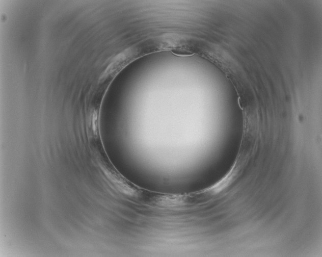 X0000059090094200510172105