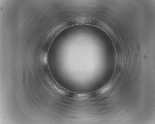 X0000059090095200510172105