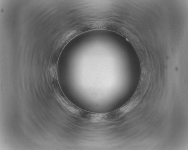 X0000059090096200510172105