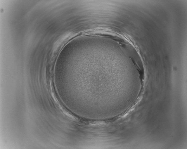 X0000059090097200510172105