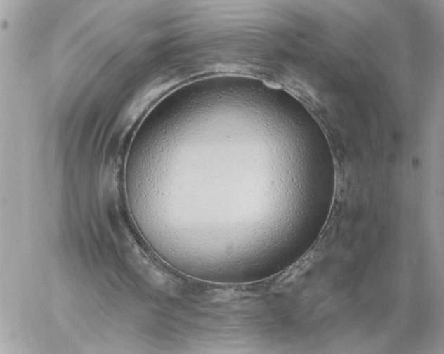 X0000059090098200510172105