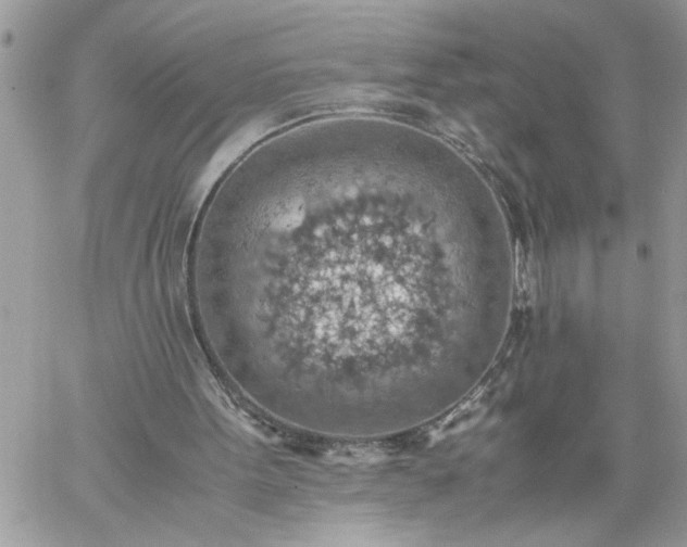 X0000059090099200510172105