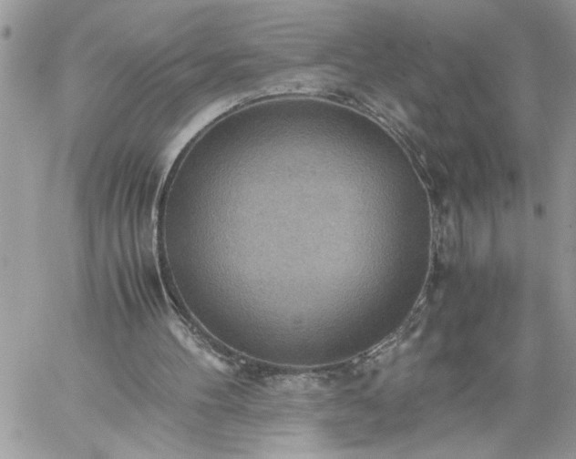 X0000059090100200510172105