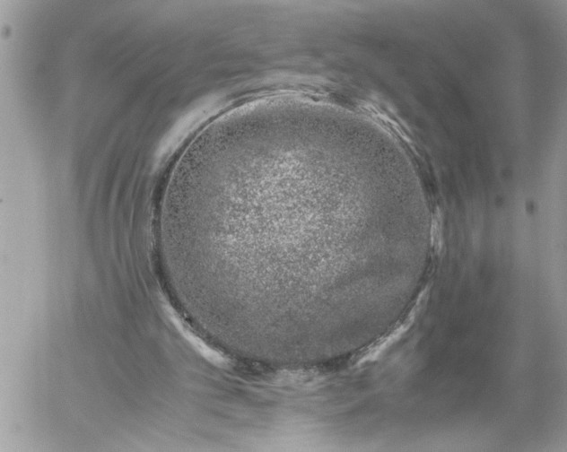 X0000059090101200510172105