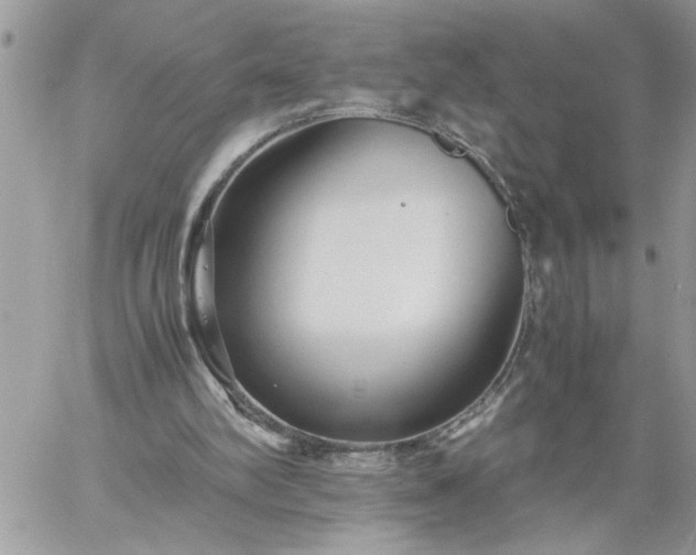 X0000059090102200510172105