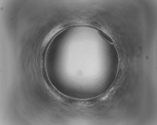 X0000059090103200510172105