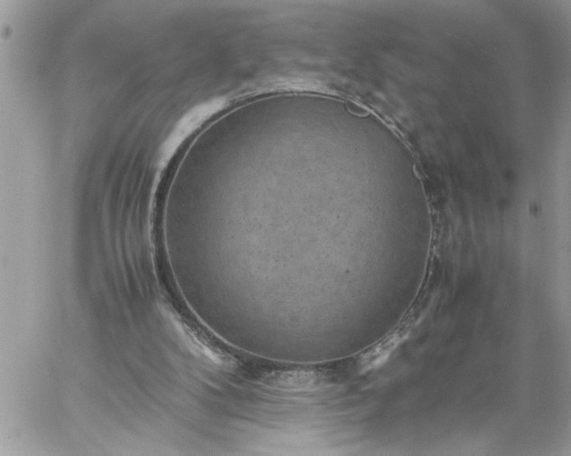 X0000059090104200510172105