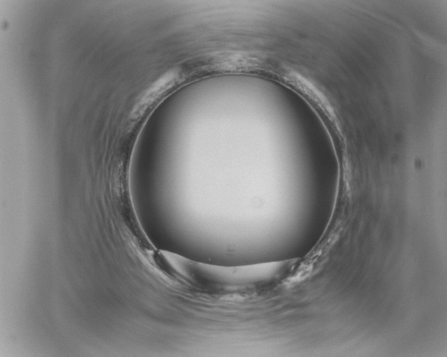 X0000059090105200510172105