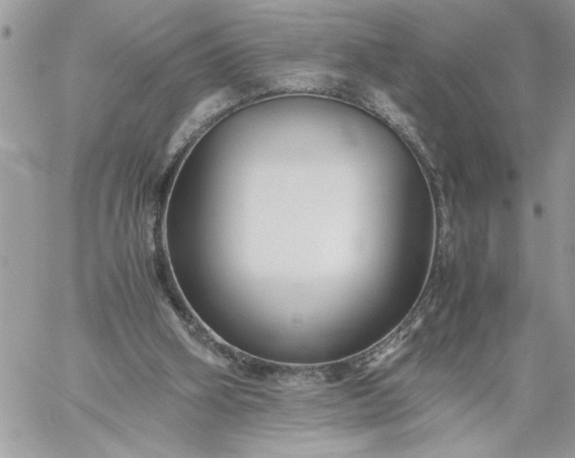 X0000059090106200510172105