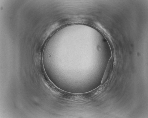 X0000059090107200510172105