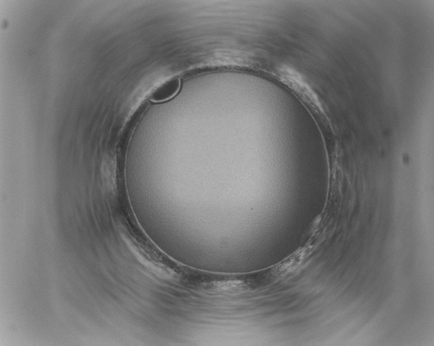 X0000059090108200510172105